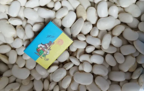 Продам квасолю