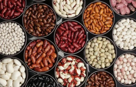 Продам Фасоль/Квасоля в асортименті ОПТ