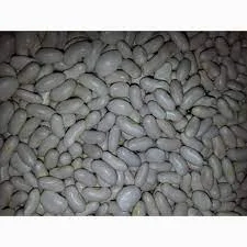 Закуповуємо квасолю білу (мін.партія 10 тонн)