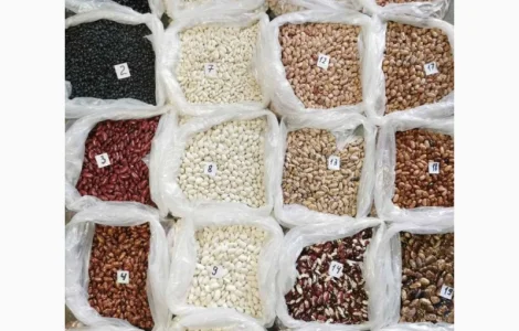 Квасоля. Мавка