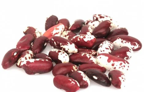 Купуємо квасолю для власних потреб. Потрібні великі обсяги