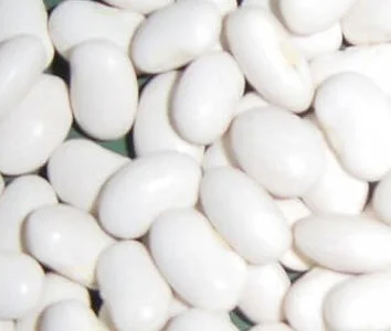 Куплю квасолю білу на переробку