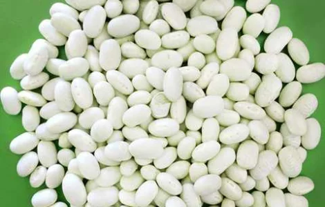 Куплю фасоль белую Монро