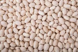 Куплю білу квасолю. Закупка квасолі оптом від 10 т