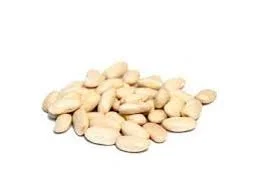 Насіння квасолі сортів НЕВІ БІНС та МЕРЛІН