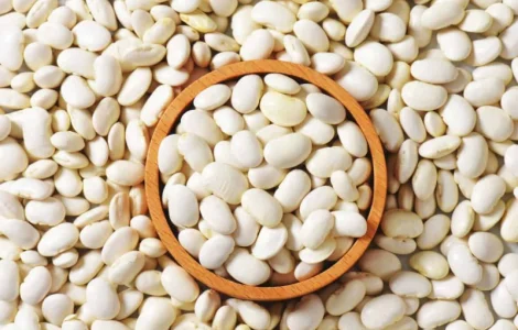 Закуповуємо квасолю від 5т. Самовивіз