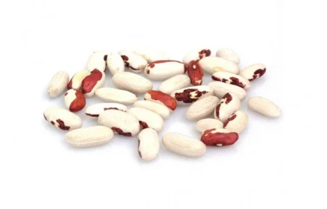 Покупаем оптом фасоль