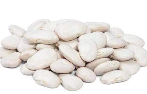 Покупаем оптом фасоль на переработку