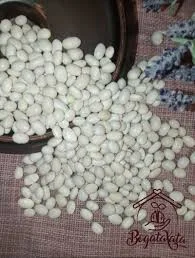 Куплю квасолю. Приймаю квасолю. Закупка квасолі