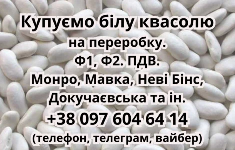 Куплю квасолю білих сортів