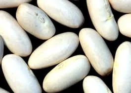 Куплю фасоль для нужд предприятия