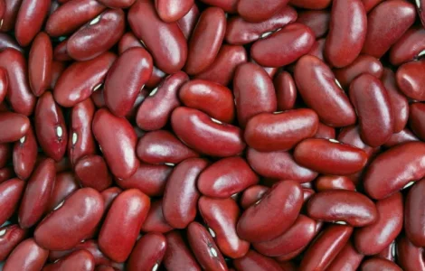 Продаємо квасолю сортову (в асортименті)