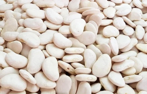 Високоякісна сортова квасоля (20 сортів в наявності)