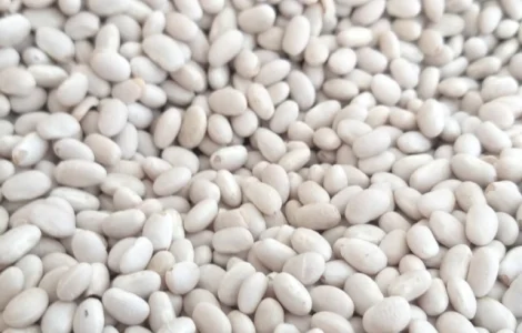 Фасоль сортовая с доставкой по Украине (в ассортименте)