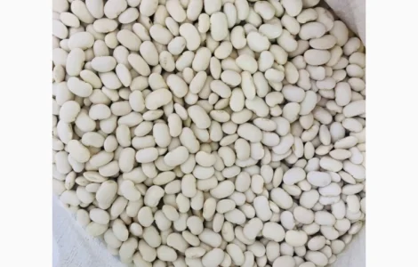 Куплю фасоль Бандоля