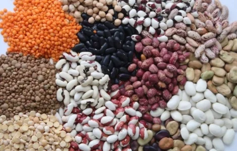 Куплю: Фасоль/квасолю різних сортів