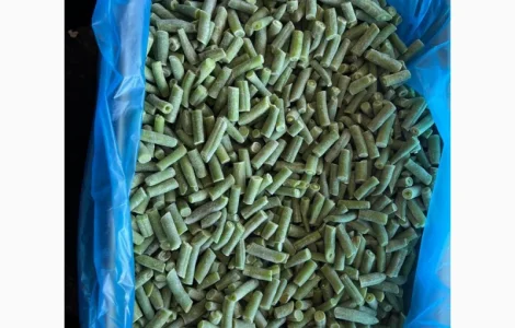 Продам фасоль стручковую замороженную