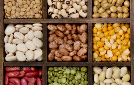 КУПЛЮ фасоль