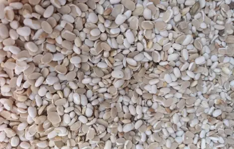 Половинки Фасоли продам опт и розница