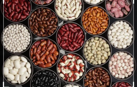 Продам фасоль, Винница