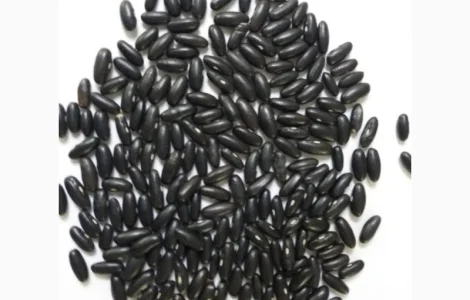 Продаем черную фасоль