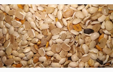 Продам половинки квасолі