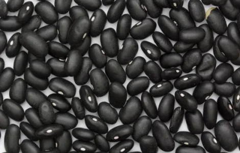 Чорна фасоль квасоля диабет діабет насіння для садження майже вся сходить