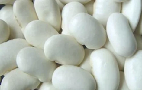 Квасоля нового врожаю оптом на продаж