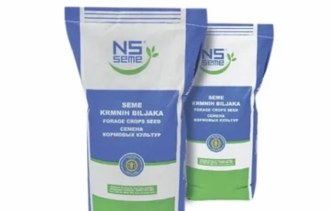 Насіння Озимого Гороху НС Мороз (Сербія)