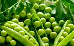 Элитный горох Саламанка на продажу