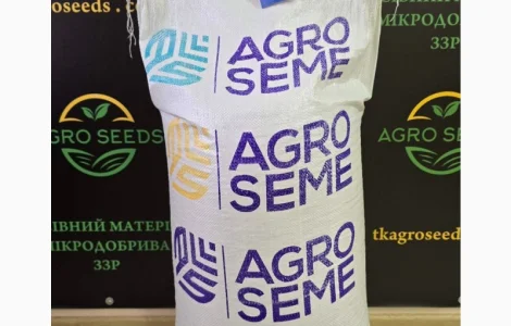 Насіння озимого гороху сорт Нс Мороз