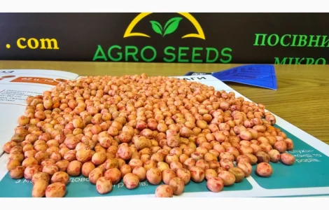 Озимый горох "НС Мороз" - высокоурожайный сорт