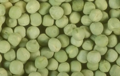 Купуємо горох жовтий та зелений