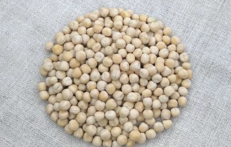 Горох посевной Оплот – сорт для вашего урожая