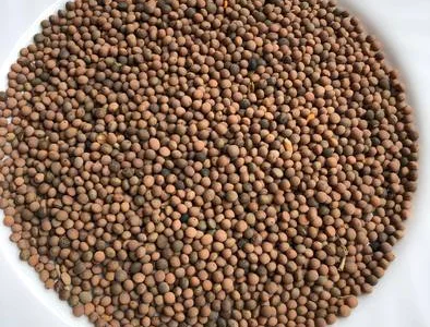 Закупаем Пелюшку (горох полевой) оптом