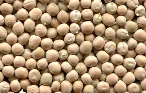 Закупаем жёлтый горох