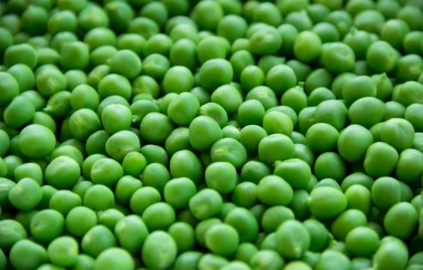 Закупівля гороху жовтого та зеленого на самовивіз