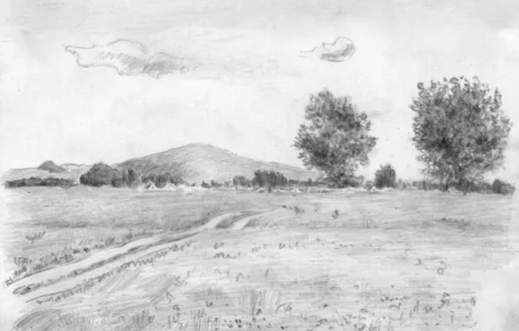 Закупаем отходы и некондицию гороха