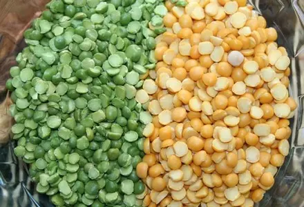 Куплю горох жовтий зелений самовивіз