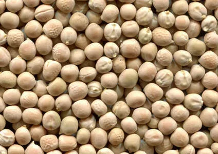 Закупаем желтый горох оптом