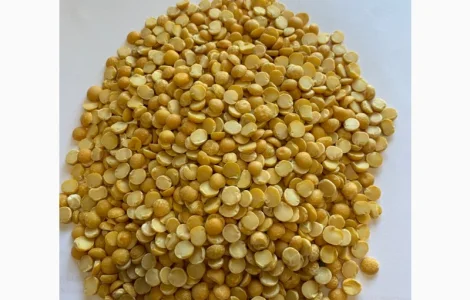 Купуємо горох оптом