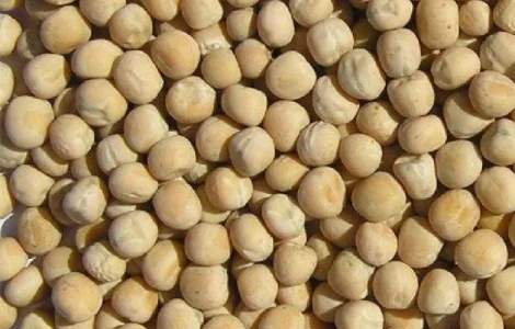 Горох зерно