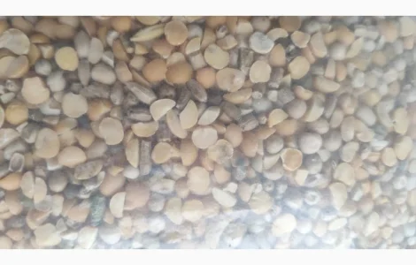 Горох позакласний - відходи горохові