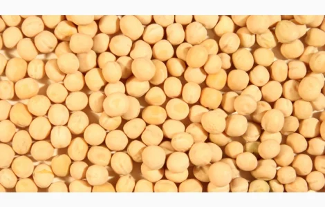 Закупаем жёлтый горох