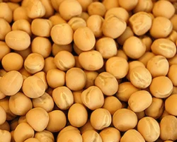 Купуємо жовтий горох