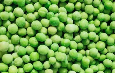 Горох озимый Баллтрап – высокоурожайный сорт