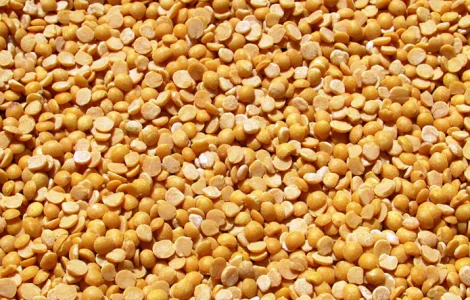 Закупаем половинки гороха оптом