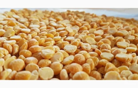 Куплю некондиционный горох