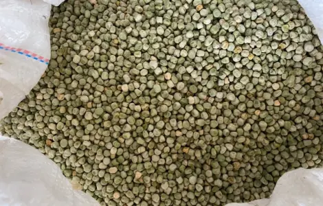 Продам семена сахарного гороха