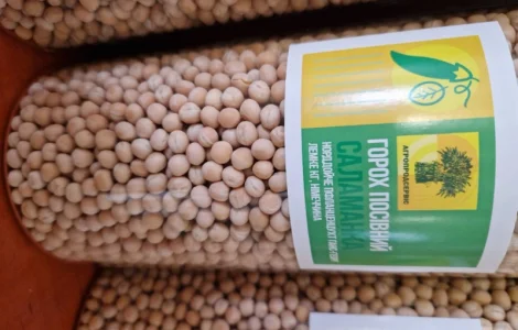 Продаж насіння гороху ( жовтий)